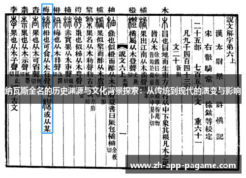 纳瓦斯全名的历史渊源与文化背景探索：从传统到现代的演变与影响