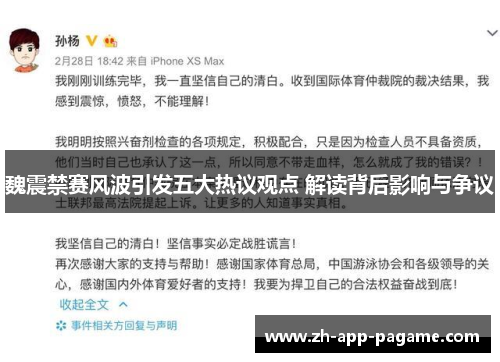 魏震禁赛风波引发五大热议观点 解读背后影响与争议
