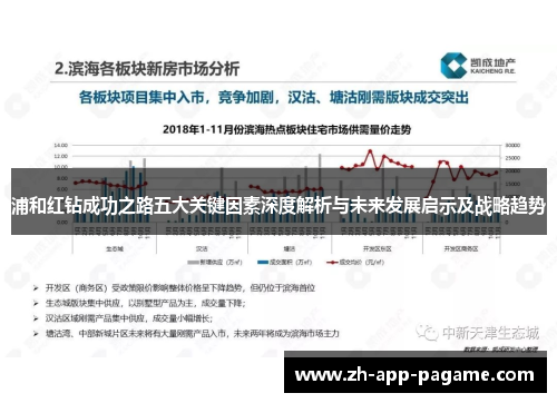 浦和红钻成功之路五大关键因素深度解析与未来发展启示及战略趋势