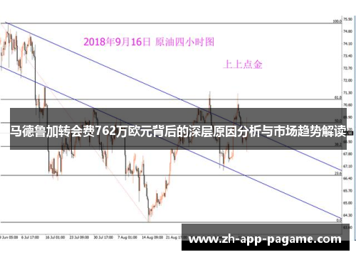 马德鲁加转会费762万欧元背后的深层原因分析与市场趋势解读