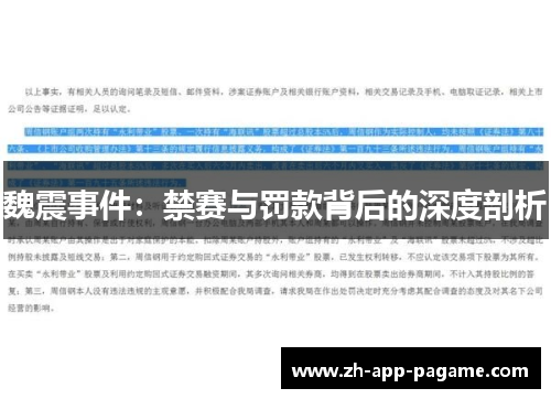魏震事件：禁赛与罚款背后的深度剖析