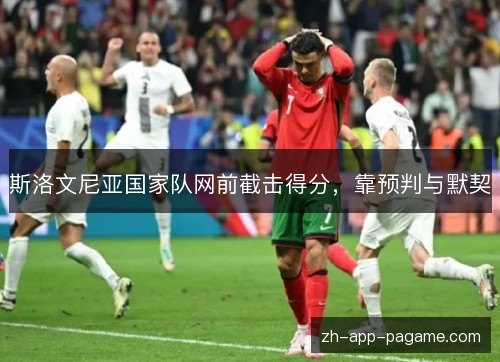 斯洛文尼亚国家队网前截击得分,靠预判与默契 斯洛文尼亚国家队网前截击得分,靠预判与默契
